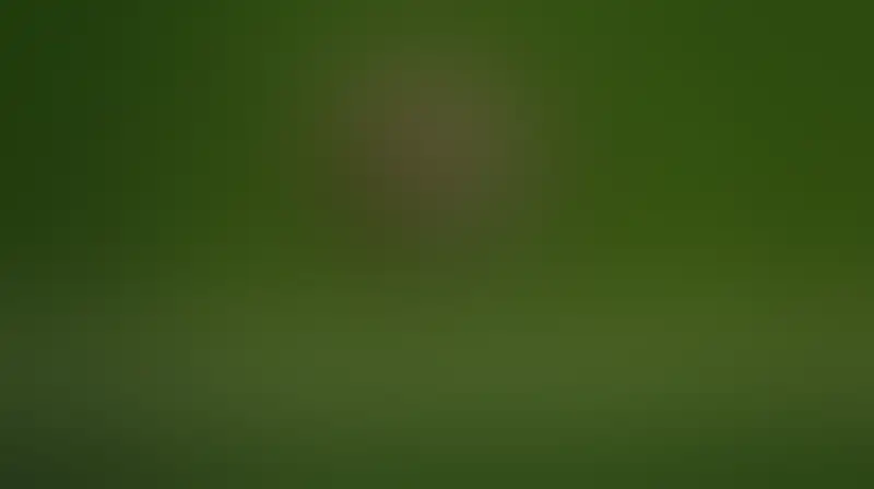 تدريبات فردية للامين جمال تثير حالة من القلق قبل نهائي كأس العالم Background