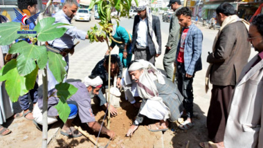 تدشين أعمال تشجير الجزر الوسطية لشوارع مركز محافظة صنعاء 