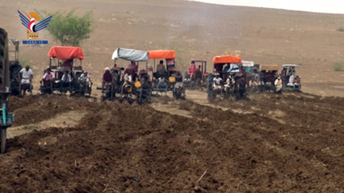 Landwirtschaftskomitee und Landwirtschaftsministerium weihen den Anbau von Wüsten- und Sanddünen in Tihama ein