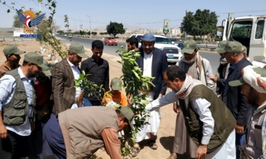 أمين العاصمة يدشن حملة تشجير الجزر الوسطية والمثلثات 