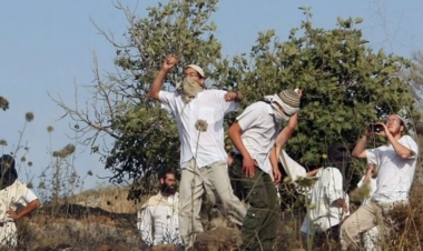 Un agriculteur palestinien a été blessé après que des colons l'ont attaqué alors qu'il cueillait des olives à l'est de Salfit.