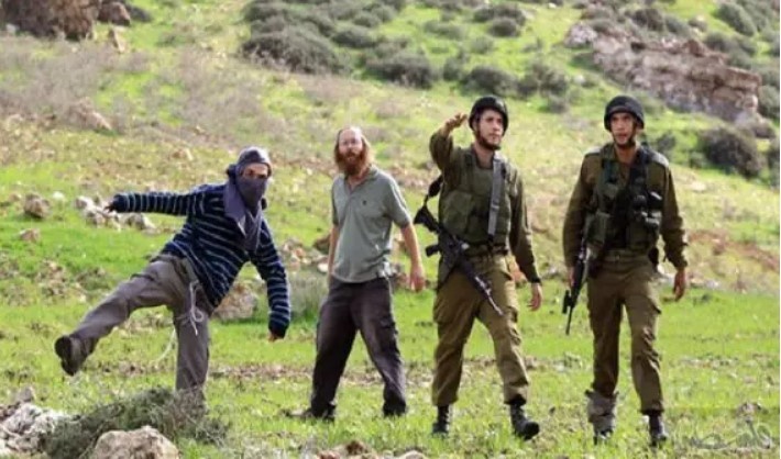 Niña palestina herida en ataques de colonos en varias zonas de Cisjordania ocupada
