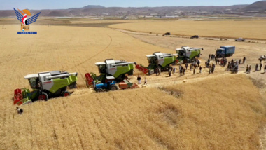 Dhamar lance neuf projets agricoles pour stimuler la production