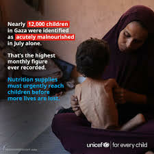 Madres en Gaza entre bombardeos y hambre: Sufrimiento insoportable