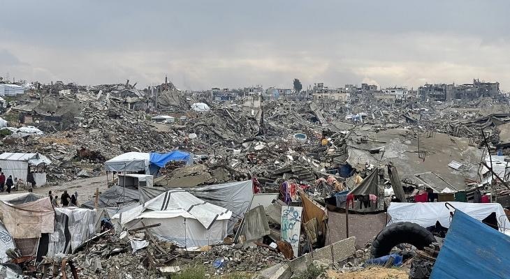 Naciones Unidas: La infestación de plagas e insectos, un desafío diario para las familias de la Franja de Gaza