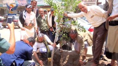 الضالع.. تدشين حملة تشجير وتنظيف الجزر الوسطية في الشوارع الرئيسية 