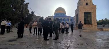 Des troupeaux de colons envahissent les cours d'Al-Aqsa