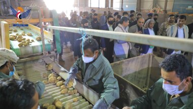 El Presidente Al-Mashat inspecciona el trabajo en la Empresa General de Producción de Semillas de Patata la papa en Dhamar