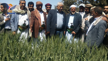 Die Einweihung lder Frühlingssaison im landwirtschaftlichen in Qaa Al-Boun in Amran