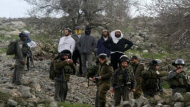 Siedler greifen Olivenpflücker an und stehlen die Früchte in Burin, südlich von Nablus