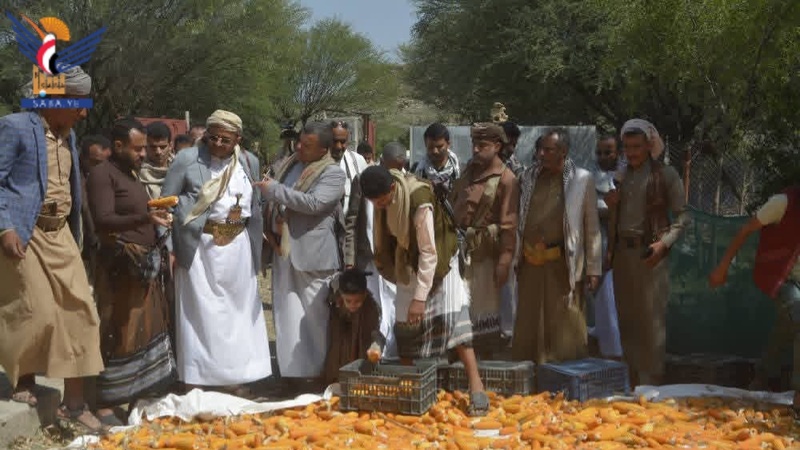 La Gobernación de Taiz: Un Renacimiento del Desarrollo en Diversos Sectores