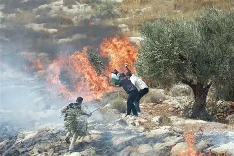 Los Colonos irrumpen en el santuario de Nabi Ghaith en Deir Ammar, al noroeste de Ramallah, mientras que otros atacan aldeas y pueblos en Jenin