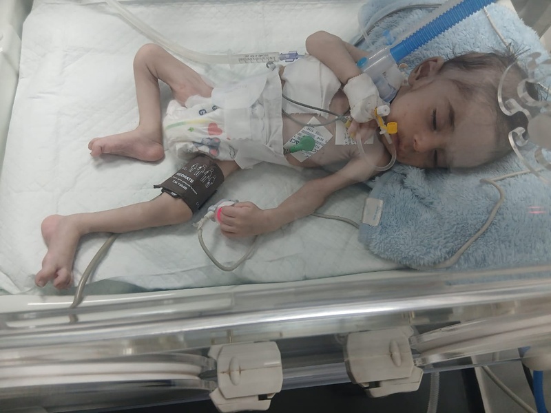 La familia Asaliya en Gaza: Dos hermanos luchan contra la muerte neurológica y la desnutrición... y el enemigo asedia la esperanza