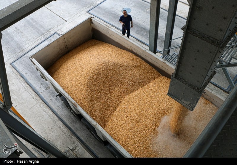 Fuente iraní: Las afirmaciones sobre el uso de fondos congelados para la compra de cereales son falsas