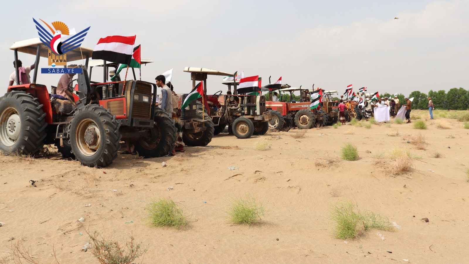 La Unidad de Financiación de Proyectos de Al-Hudaydah: Un Año de Logros Estratégicos para Proyectos Agrícolas
