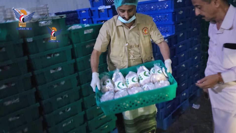 Sector avícola en Hodeidah: Amplio movimiento hacia la autosuficiencia y la producción estable