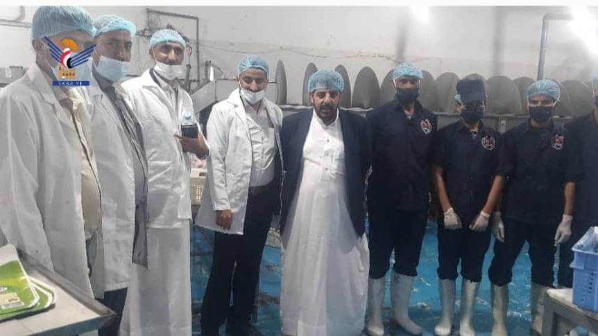 Sector avícola en Hodeidah: Amplio movimiento hacia la autosuficiencia y la producción estable