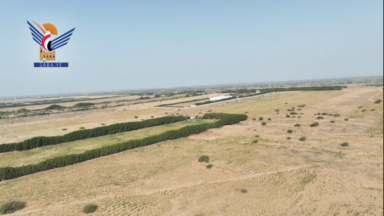 El Proyecto Cinturón Verde en Hodeidah: numeros y logros que sientan las bases para una nueva etapa medioambiental