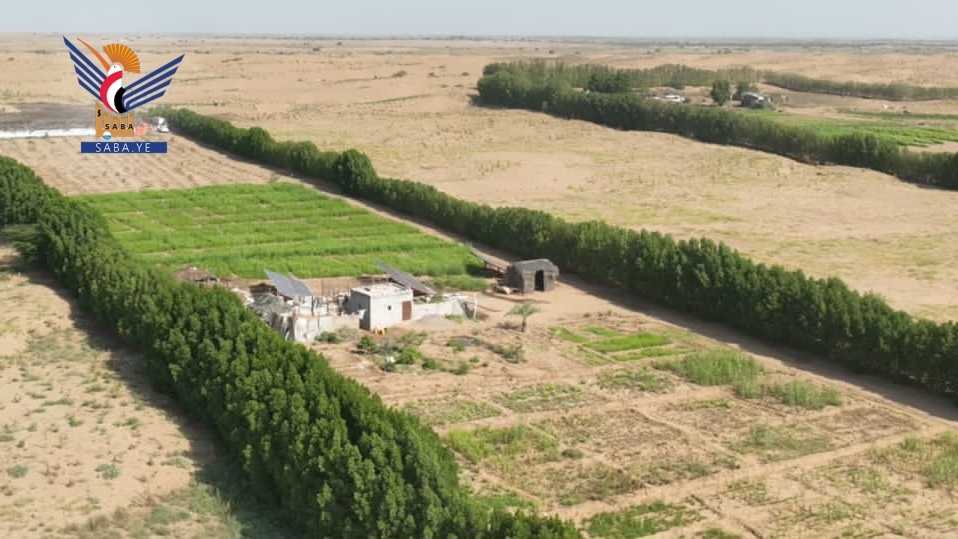 El Proyecto Cinturón Verde en Hodeidah: numeros y logros que sientan las bases para una nueva etapa medioambiental