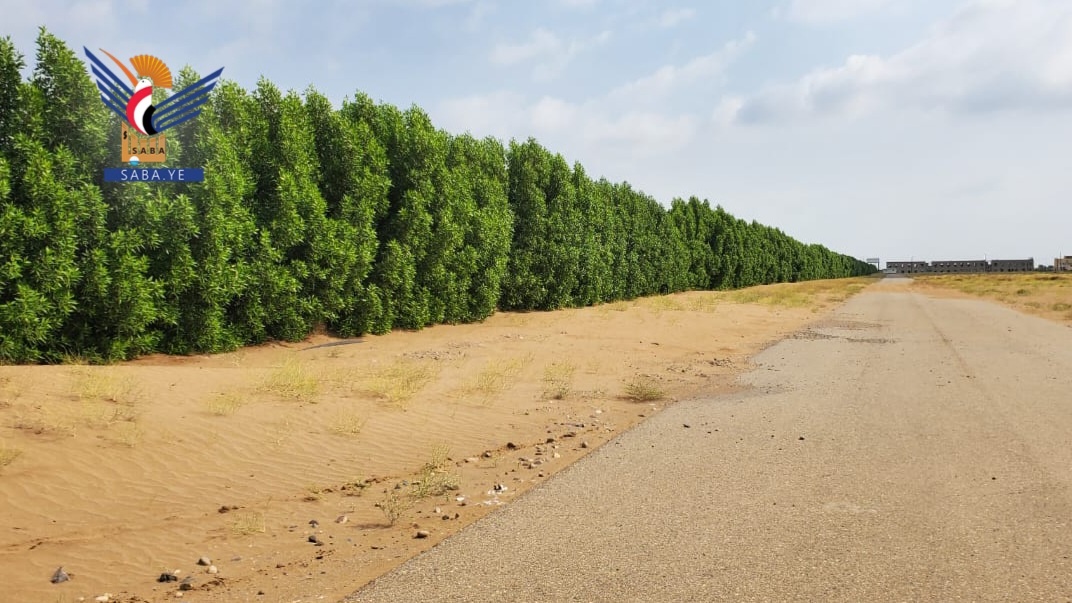 El Proyecto Cinturón Verde en Hodeidah: numeros y logros que sientan las bases para una nueva etapa medioambiental