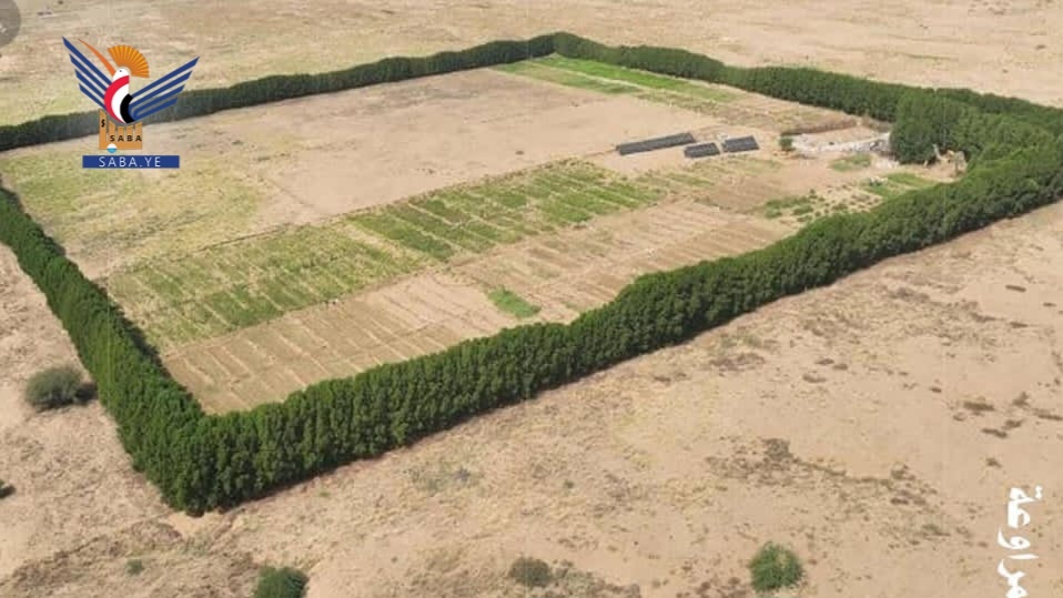 El Proyecto Cinturón Verde en Hodeidah: numeros y logros que sientan las bases para una nueva etapa medioambiental