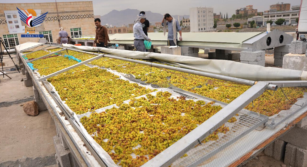 La Autoridad General de Ciencia, Investigación, Tecnología e Innovación (GASRI) ha logrado fabricar y desarrollar secadores solares para abordar las pérdidas agrícolas