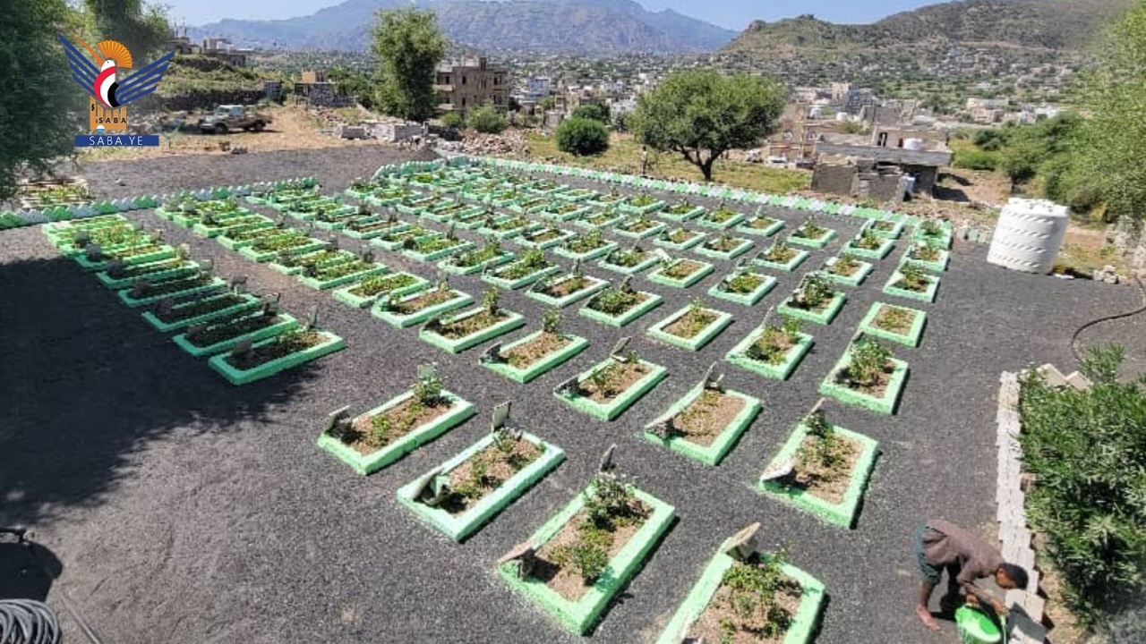 Se realizan intensos preparativos para conmemorar el Día de los Mártires en la Gobernación de Taiz
