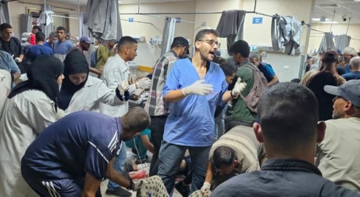 Roedores e insectos en la Franja de Gaza: Una amenaza real de desastre sanitario y ambiental para los residentes