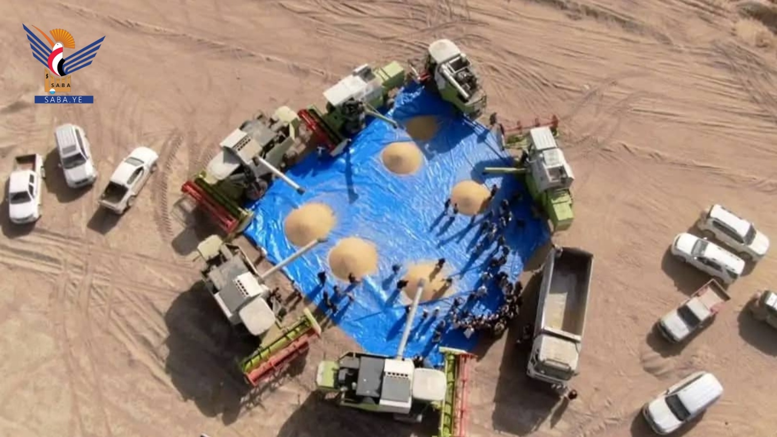 La Gobernación de Al-Jawf experimenta un renacimiento agrícola sin precedentes gracias a la Revolución del 21 de septiembre