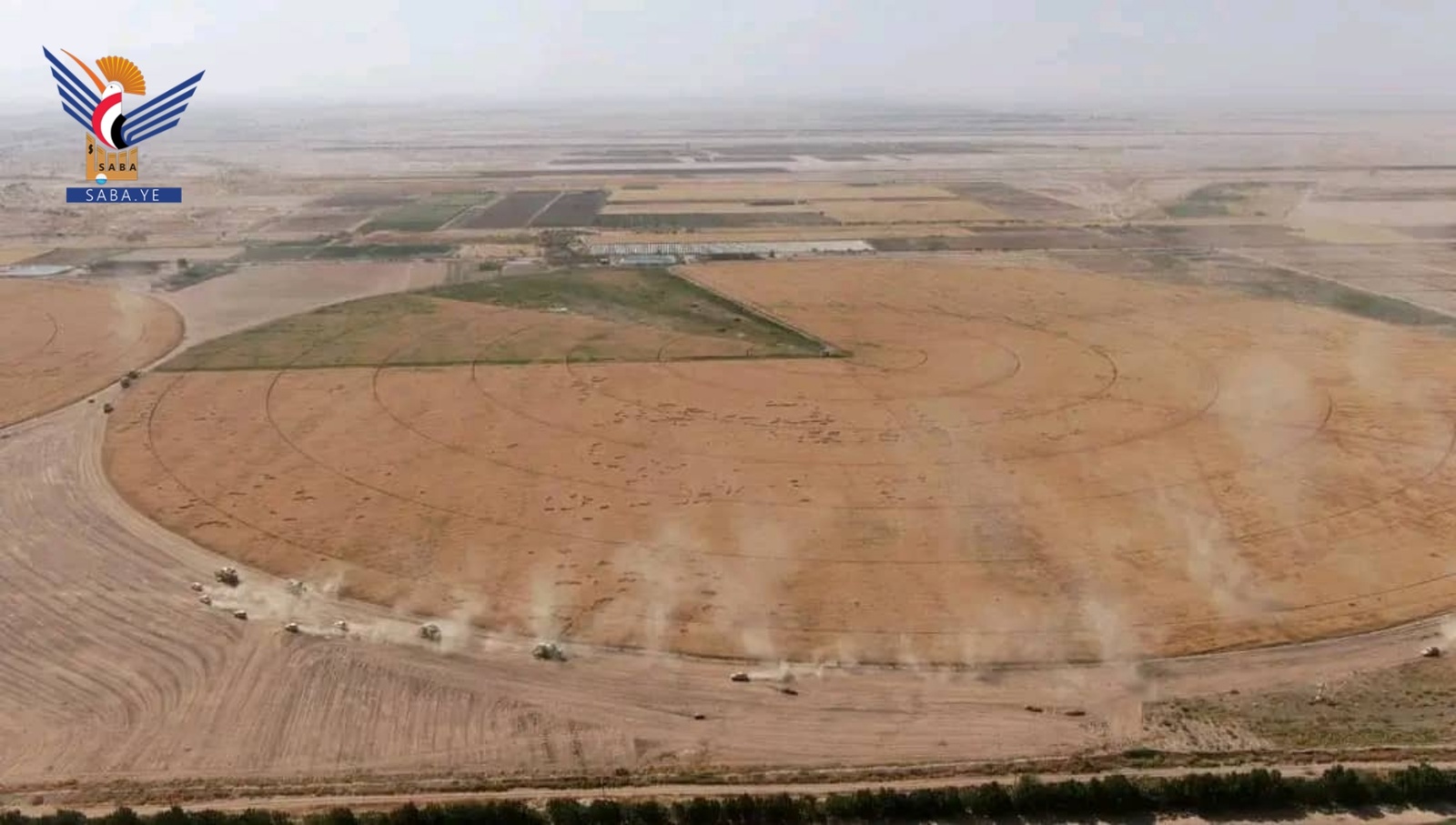 La Gobernación de Al-Jawf experimenta un renacimiento agrícola sin precedentes gracias a la Revolución del 21 de septiembre