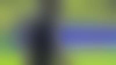بلجيكا تطعن بأهلية مشاركة بالوجون في مباراة أمريكا بكأس العالم بعد تدخل ترامب Background