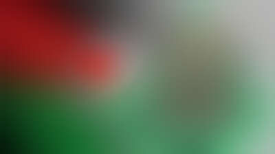 Respuesta de Hamás: La "Estrategia de Selección" y la Restauración del Prestigio del Consenso Palestino Background
