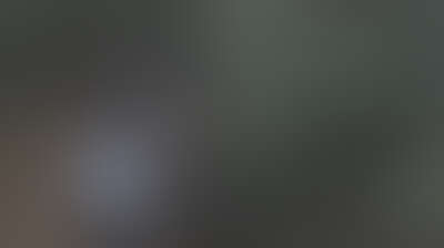 مستوطنون يهاجمون الفلسطينيين شمال غرب رام الله وآخرون يعتدون على مزارعين ببلدة سنجل Background