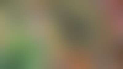اليورو قرب أدنى مستوياته الأخيرة Background