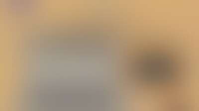 الهيئة العامة للآثار والمتاحف تدعو للتعرف على متاحف اليمن عبر موقعها الإلكتروني Background