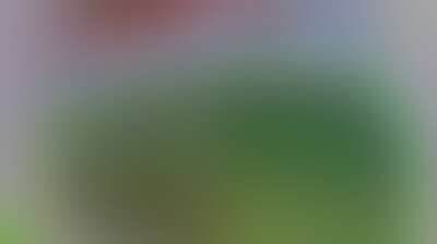 غدا بصنعاء .. انطلاق فعاليات المعرض الوطني للأسمدة والمبيدات المصنعة محليًا Background