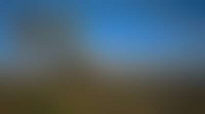 ارتفاع أسعار النفط بعد تأجيل محادثات بين أميركا وإيران Background