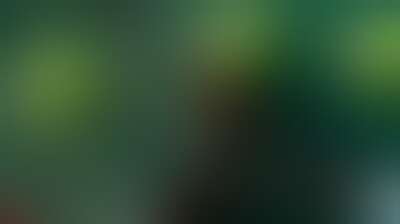الأوكرانية إيلينا سفيتولينا تحرز لقب بطولة روما المفتوحة للمرة الثالثة Background
