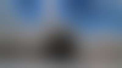 غضب إسلامي يتمدد.. لماذا استهدف ترامب الإساءة لقبلة المسلمين وأقدس مقدساتهم؟ Background