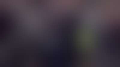 تشيلسي يعيّن ألونسو مدربًا له.. وبيدرو أول لاعب يطلب الرحيل Background