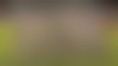 المنتخب الوطني يتجاوز لبنان ويبلغ نهائيات كأس آسيا Background