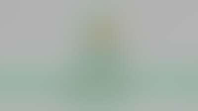 هيئة الآثار تطلق موقعها الإلكتروني الرسمي (goam.gov.ye) Background
