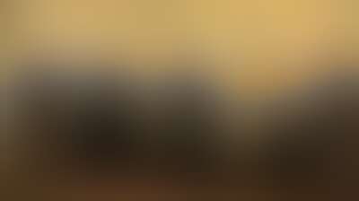ندوة ثقافية في رام الله حول "المتاحف في فلسطين" Background