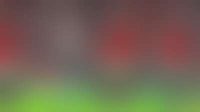 مانشستر يونايتد يحسم المركز الثالث في الدوري الإنجليزي بثلاثية أمام نوتنغهام Background