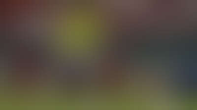 مدرب البرازيل يضم نيمار لقائمة المنتخب الأولية للمشاركة في كأس العالم 2026 Background