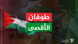 لجنة نصرة الأقصى: الخروج الجماهيري لنصرة الشعب الفلسطيني هذا الأسبوع يتزامن مع إحياء ذكرى المولد النبوي الأحد المقبل