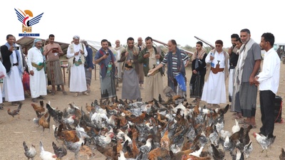 Equipos de desarrollo de Marib y Amran concluyen visita para conocer experiencias cooperativas en Hodeidah