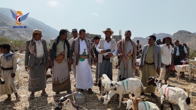 Taiz: Lanzamiento de la primera fase del proyecto de empoderamiento económico en la ganadería en Maqbana