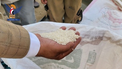 تدشين حصاد محصول الأرز في مديرية المغربة بحجة