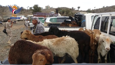 Una Caravana de la población del distrito de Al-Sayani, en la gobernación de Ibb, envió ayuda a las tropas desplegadas en los frentes de Al-Aqroudh y Al-Salw, en la gobernación de Taiz